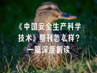 《中国安全生产科学技术》期刊怎么样？一篇深度解读