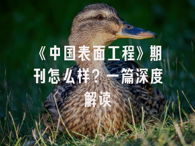 《中国表面工程》期刊怎么样？一篇深度解读