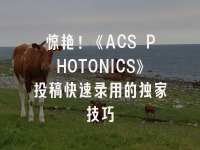 学术会议在线