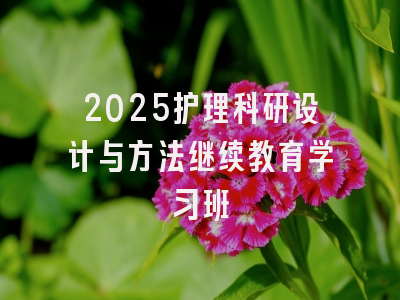 2025护理科研设计与方法继续教育学习班