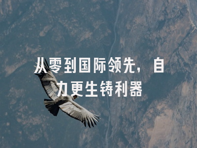 从零到国际领先，自力更生铸利器
