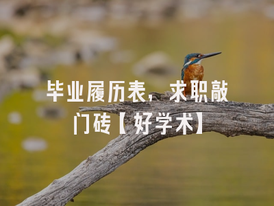 毕业履历表，求职敲门砖【好学术】