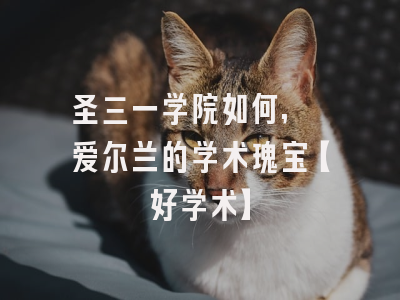 圣三一学院如何, 爱尔兰的学术瑰宝【好学术】