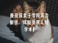 学术会议在线