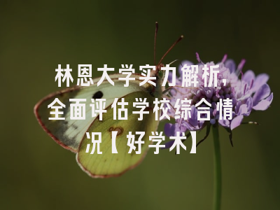 林恩大学实力解析，全面评估学校综合情况【好学术】