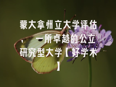 蒙大拿州立大学评估, 一所卓越的公立研究型大学【好学术】