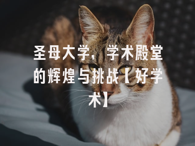 圣母大学，学术殿堂的辉煌与挑战【好学术】