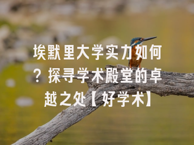 埃默里大学实力如何？探寻学术殿堂的卓越之处【好学术】