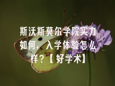斯沃斯莫尔学院实力如何，入学体验怎么样？【好学术】