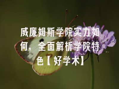 威廉姆斯学院实力如何，全面解析学院特色【好学术】