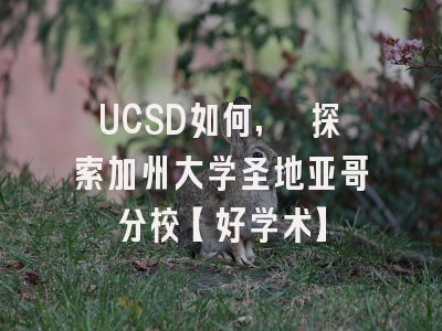 UCSD如何, 探索加州大学圣地亚哥分校【好学术】