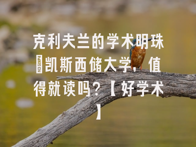 克利夫兰的学术明珠：凯斯西储大学，值得就读吗？【好学术】