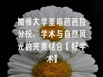 加州大学圣塔芭芭拉分校，学术与自然风光的完美结合【好学术】