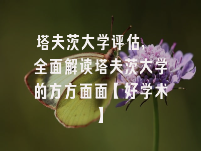 塔夫茨大学评估, 全面解读塔夫茨大学的方方面面【好学术】