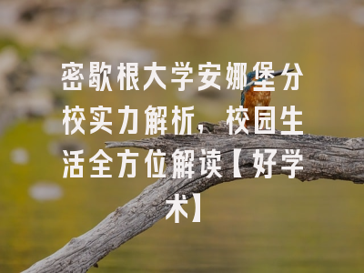 密歇根大学安娜堡分校实力解析，校园生活全方位解读【好学术】