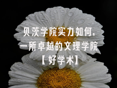 贝茨学院实力如何，一所卓越的文理学院【好学术】