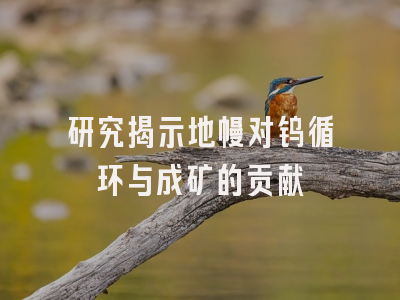 研究揭示地幔对钨循环与成矿的贡献