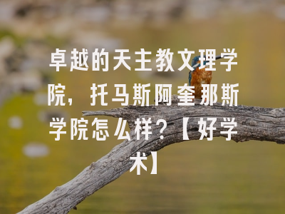 卓越的天主教文理学院，托马斯阿奎那斯学院怎么样？【好学术】