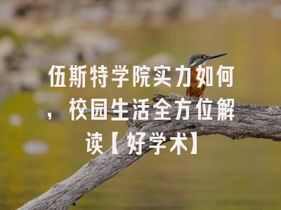 伍斯特学院实力如何，校园生活全方位解读【好学术】