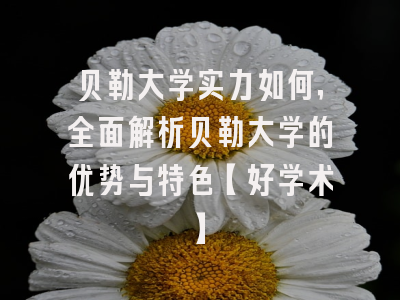 贝勒大学实力如何，全面解析贝勒大学的优势与特色【好学术】