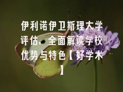 伊利诺伊卫斯理大学评估，全面解读学校优势与特色【好学术】