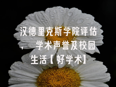 汉德里克斯学院评估, 学术声誉及校园生活【好学术】