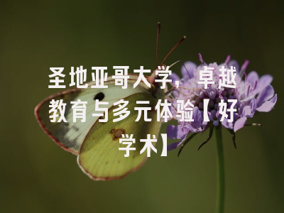 圣地亚哥大学，卓越教育与多元体验【好学术】
