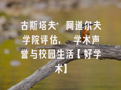 古斯塔夫·阿道尔夫学院评估, 学术声誉与校园生活【好学术】