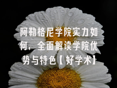 阿勒格尼学院实力如何，全面解读学院优势与特色【好学术】