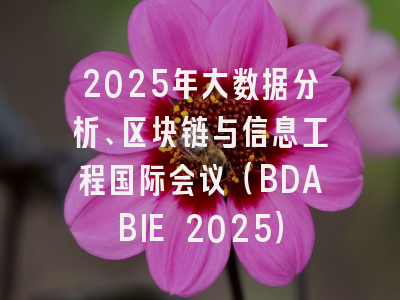 2025年大数据分析、区块链与信息工程国际会议（BDABIE 2025）