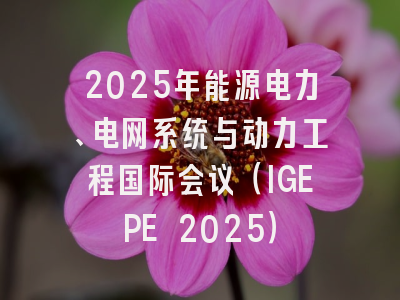 2025年能源电力、电网系统与动力工程国际会议（IGEPE 2025）