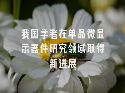 我国学者在单晶微显示器件研究领域取得新进展