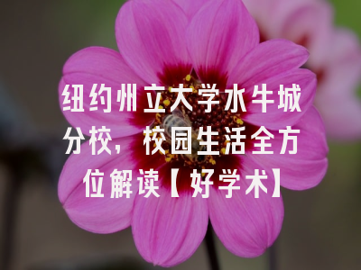 纽约州立大学水牛城分校，校园生活全方位解读【好学术】