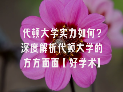代顿大学实力如何？深度解析代顿大学的方方面面【好学术】
