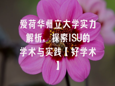 爱荷华州立大学实力解析，探索ISU的学术与实践【好学术】