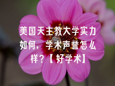 美国天主教大学实力如何，学术声誉怎么样？【好学术】