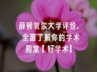 薛顿贺尔大学评价, 全面了解你的学术殿堂【好学术】