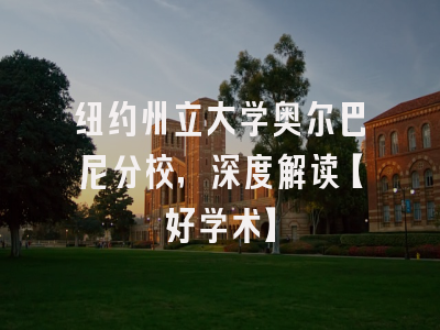 纽约州立大学奥尔巴尼分校，深度解读【好学术】