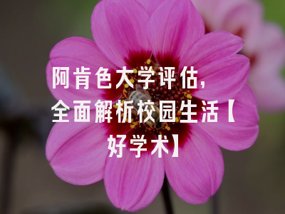 阿肯色大学评估, 全面解析校园生活【好学术】