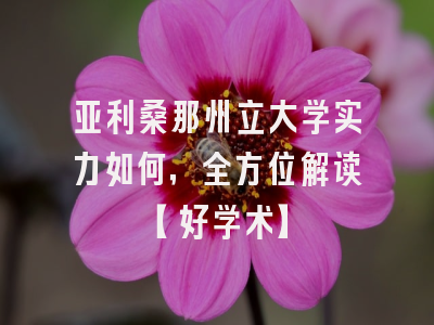 亚利桑那州立大学实力如何，全方位解读【好学术】
