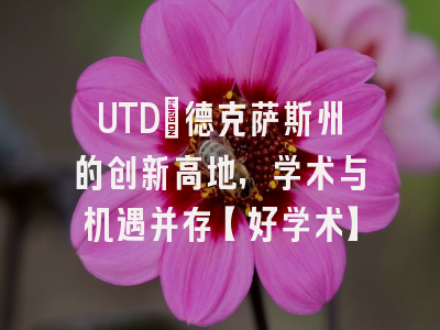 UTD：德克萨斯州的创新高地，学术与机遇并存【好学术】