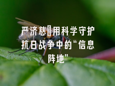 严济慈：用科学守护抗日战争中的“信息阵地”