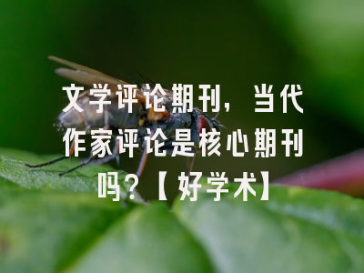 文学评论期刊，当代作家评论是核心期刊吗？【好学术】