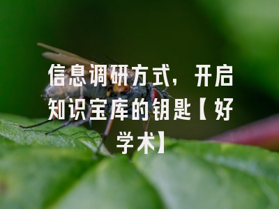 信息调研方式，开启知识宝库的钥匙【好学术】