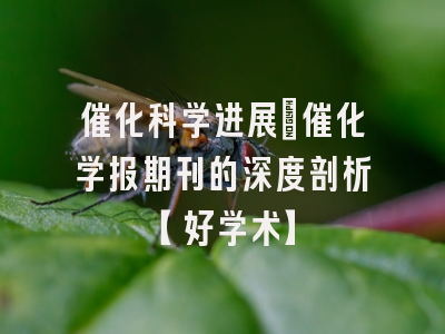 催化科学进展：催化学报期刊的深度剖析【好学术】