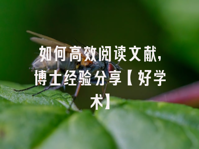 如何高效阅读文献，博士经验分享【好学术】