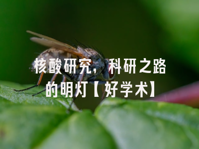 核酸研究，科研之路的明灯【好学术】