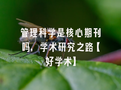 管理科学是核心期刊吗，学术研究之路【好学术】