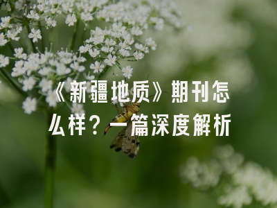 《新疆地质》期刊怎么样？一篇深度解析