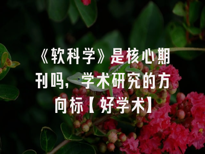 《软科学》是核心期刊吗，学术研究的方向标【好学术】